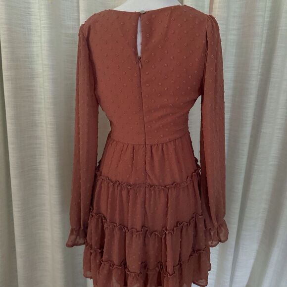 Altard State Dress Womens Small Rose Swiss Dot Cottage Ruffle Zip Up Flowy Gauzy - Picture 2 of 14